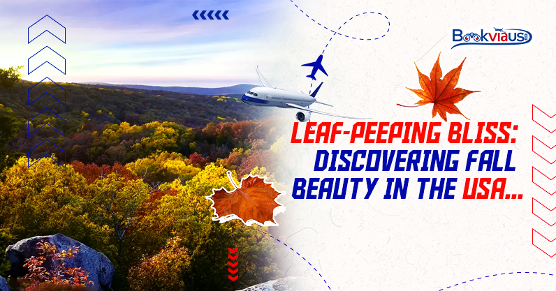 Leaf-Peeping Bliss: Discovering Fall Beauty in the USA